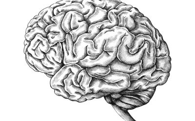 La maltraitance infantile, cause d’un développement anormal du cerveau