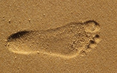 Le REGAINSTEP© :  Ou oser la marche arrière pour avancer ! (PFLG : Chapitre 10)