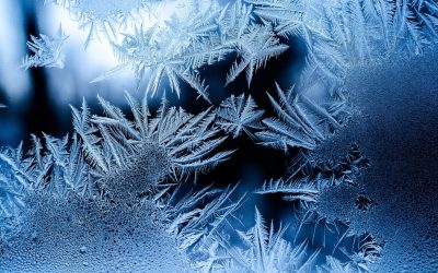 Renforcer sa résilience par l’exposition au froid :  La douche froide comme outil de gestion du stress (PFLG : Chapitre 13)