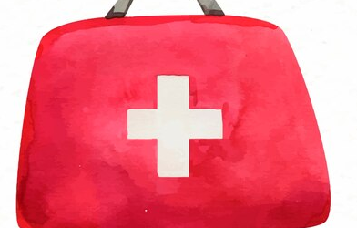La Trousse de Secours mentale contre l’Anxiété et les Attaques de Panique :  Un Guide à utiliser en Temps Réel pour apprivoiser nos Terreurs Internes (PFLG : Chapitre 12)