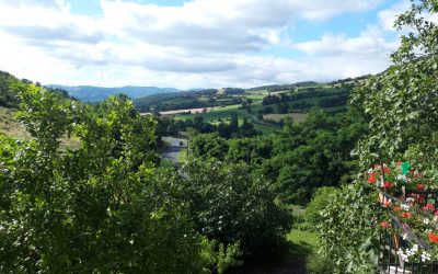 Les Horizons Lointains : Une Source de Bien-Être et de Créativité (PFLG : Chapitre 16)