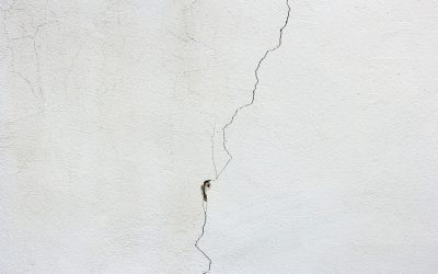 Décider, c’est exister : Se réapproprier sa vie même sous emprise (PFLG : Chapitre 23)